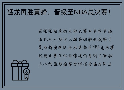 猛龙再胜黄蜂，晋级至NBA总决赛！