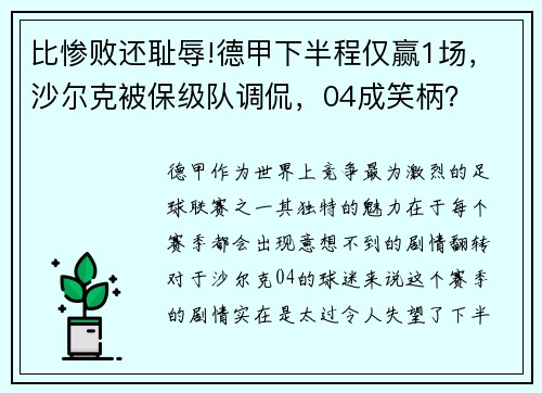 比惨败还耻辱!德甲下半程仅赢1场，沙尔克被保级队调侃，04成笑柄？