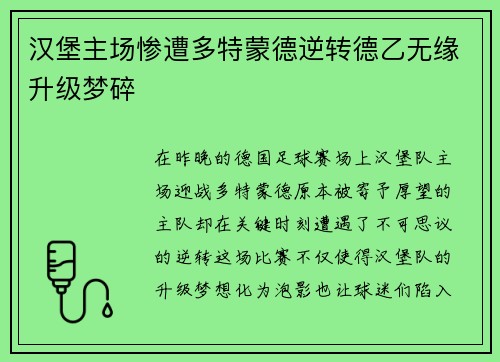 汉堡主场惨遭多特蒙德逆转德乙无缘升级梦碎